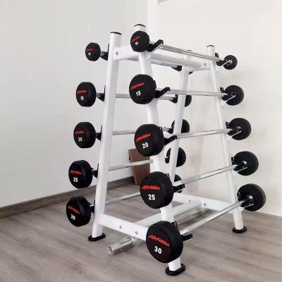 Fixed barbell weights with racks Life Fitness Kenya