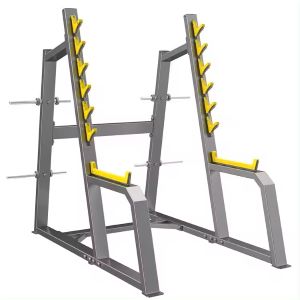 Gym fitness squatting rack