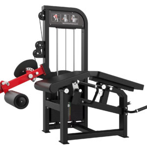 Lying le curl and seated leg extension